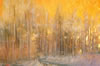 Jackson Hensley Gallery: Image